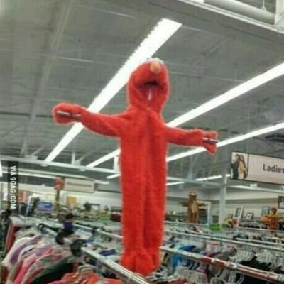 AlexaRa85911332's profile picture. TENGO MIEDO🥑