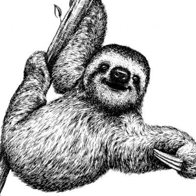 Living life in the slow lane. UTXO connoisseur. Business owner. I identify as a sloth.