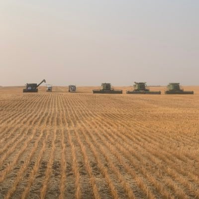 MuhrShawn's profile picture. Buffalo/Cattle ..GrainFarmer ..Pioneer Hi-Bred Rep (Broken Arrow Acre Seeds).. hunting/fishing/outdoors