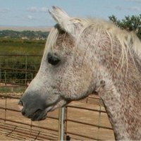 Jim Chapman (@gearup25) 's Twitter Profile