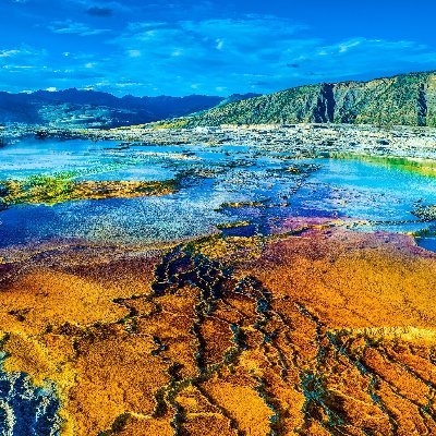 BestDeals4Ever9's profile picture. Here to find the best deals for you!