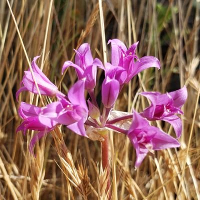 noneofurbeezz's profile picture. 21 He/they Bi