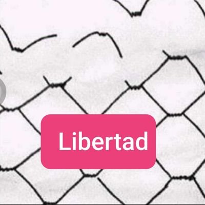 AlexisFundora20's profile picture. 