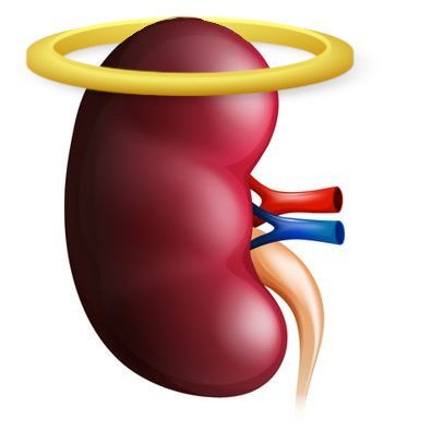 UPDATE: I'M FREAKING DEAD!
Liberal renal organ formally stuck inside a Trumper's body.
For the snowflakes this is a SATIRE account - you know who you are!