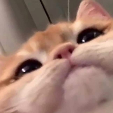 LynkedWorld's profile picture. yeet