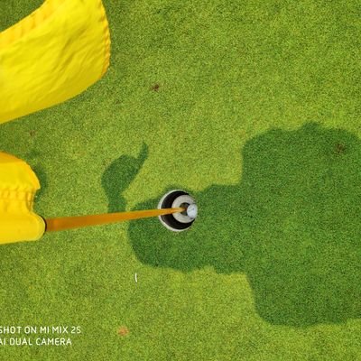 oozono8's profile picture. 