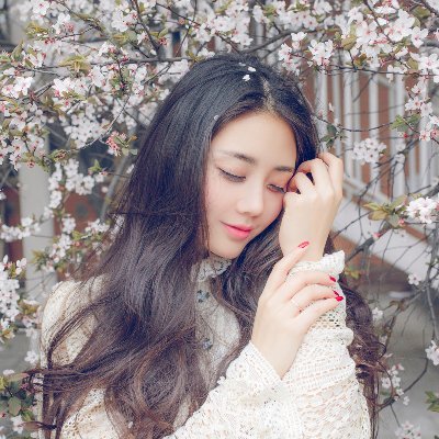 TanVmort's profile picture. 