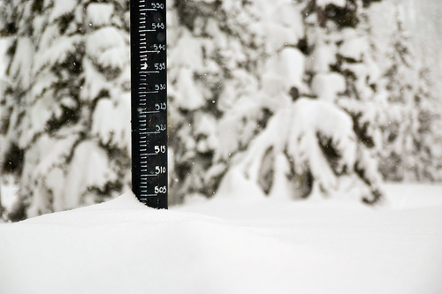 Callaghans_Snow's profile picture. Callaghan Country's Snow Conditions