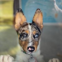 Michelle Pallat (@michellepallat) 's Twitter Profile Photo