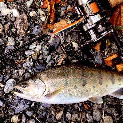 マリンババッチ つり具の上州屋 - あなたのフィッシング＆アウトドアライフをサポート