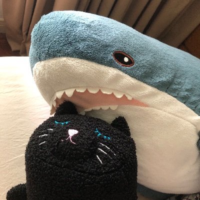 WGZgvAlaLC5xaGd's profile picture. Twitter learner, 無言フォロー失礼致します🙏空・猫・(時々)Made in Malaysia製品について呟きます！🐈Keep calm and Love cat !! 写真は全てiPhone12 mini or iPhone 16 pro で撮影しています