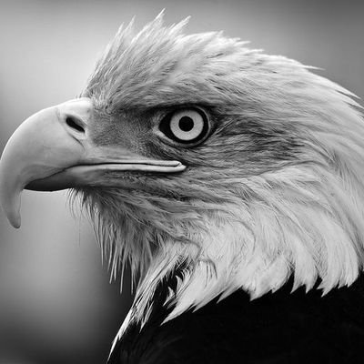 smackstories1's profile picture. just for fun