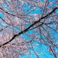 りんりん (@rinrin_0068) 's Twitter Profile