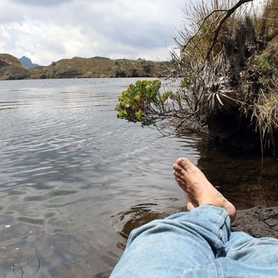 iareap's profile picture. Quizás uno no desea tanto ser amado como ser comprendido