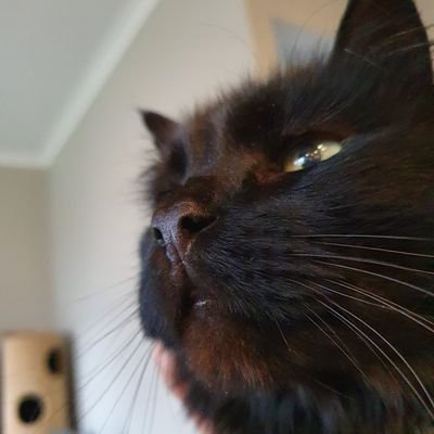 samvennt's profile picture. Finally figured out why all the beautiful matriarchs in my life were cranky.  And hot!