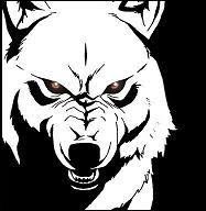 wolves_parkour Profile