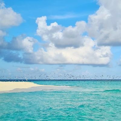 NonnaAishath's profile picture. Masters of Arts in Social Policy. Works at Human Rights Commission of the  Maldives. Worked at MoE, FEC & MNU. #HumanRights #SocialPolicy #Linguistics