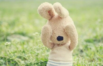 socoollee56's profile picture. 