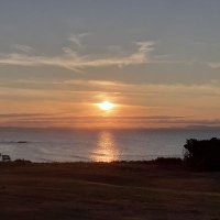 Allan Fleming (@allanflemingelc) 's Twitter Profile