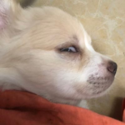 Vathana_Thorn's profile picture. 