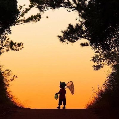 JJq4VccfUptsuSB's profile picture. 你好，世界！