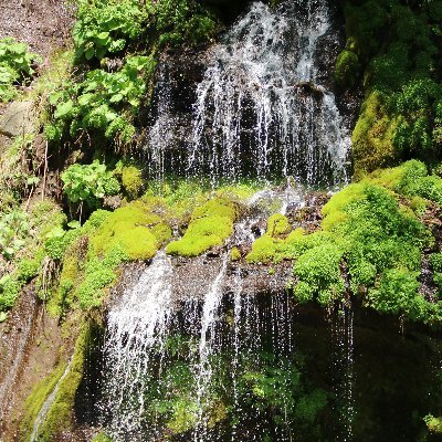 432Chinsyui's profile picture. 沖縄系の歌や踊りを追い駆けています　イベントでお見かけの際には　お声掛け下さい