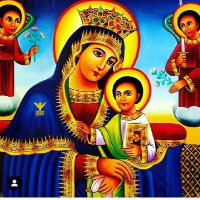 teddykasegnmek1's profile picture. Students