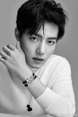 pensri_saelee's profile picture. 