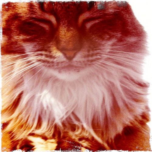 juz335's profile picture. What can I say is...