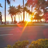 伊藤節子 (@03se03) 's Twitter Profile Photo