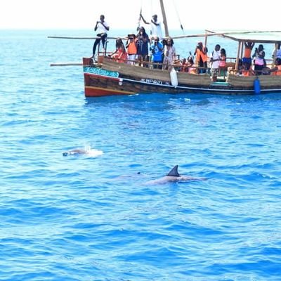 Am tourist agents i works as professionals guide at diani and wasini