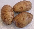 mashedpotatoess's profile picture. Mashed Potatoes.org is a Seattle grass roots community project founded by Matt Jones. The project delivers large quantities of potatoes to Northwest Harvest.