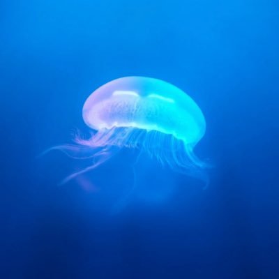 vswsuDAq45i0VrQ's profile picture. 