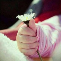 🌹 (@eman__42) 's Twitter Profile Photo 🌹 (@eman__42) 's Twitter Profile Photo