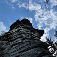 Aktienhamster (@aktienhamster) Twitter profile photo