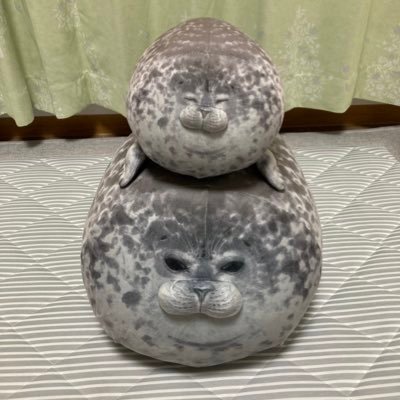 しげぼんぬさんのプロフィール画像
