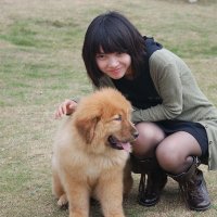 多肉好美 (@lissarjing) 's Twitter Profile