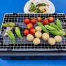 happy_farm369's profile picture. 🍅🍆🥑🥦🥒🌶🌽🥕🥔🍠 🍅🍆🥑🥦🥒🌶滋賀で仲間と楽しく野菜作りをしております。詳しくは下記URLのHPにてご紹介させていただいております！