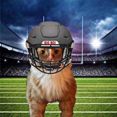 MicTysonBV's profile picture. Sports dude, musician dude, cat dude///Kings/9ers/Giants since 94