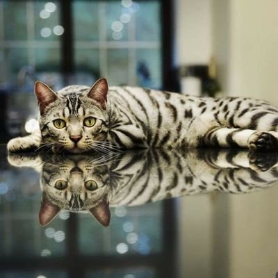 OHAROHAR1's profile picture. 