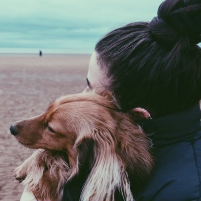 amy_levasseur's profile picture. 