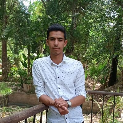 AyoubElmrini3's profile picture. 