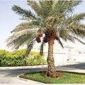ahmadalbalawi11's profile picture. الحمدلله