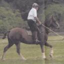 John Bendall - @PoloFan616 - Twitter