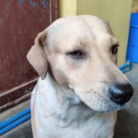 Uncle Jegs (@unclejegs) 's Twitter Profile