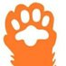 @elsindigato (@elsindigato2021) Twitter profile photo @elsindigato (@elsindigato2021) Twitter profile photo
