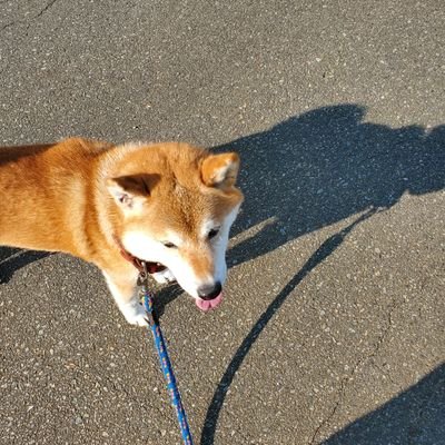 看護助手‼️スポーツ大好き‼️
Twitterやり直しフォローお願いします‼️伊豆生まれの伊豆育ち❗お酒🍶🍺🥃大好き！特にハイボールとサワー系が好き🥰バセドウ病です！