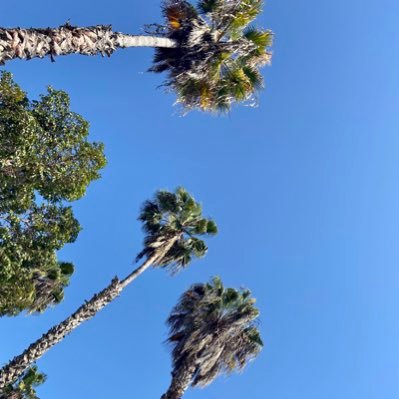 mtmusic2017's profile picture. Unknown