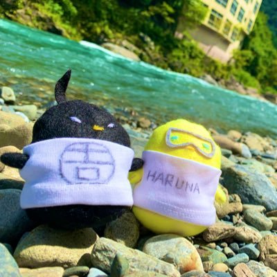 からまりフライさんのプロフィール画像