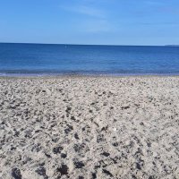 Ellie Fahy (@ellieweasel) 's Twitter Profile